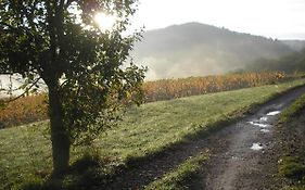 grange rénovée en pleine nature