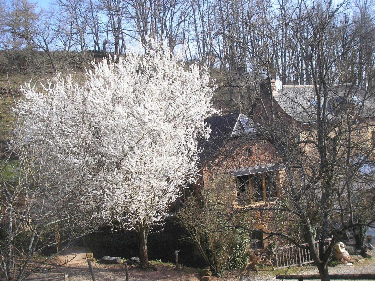 grange rénovée en pleine nature Valady Extérieur photo