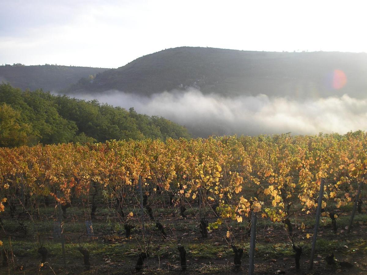grange rénovée en pleine nature Valady Extérieur photo