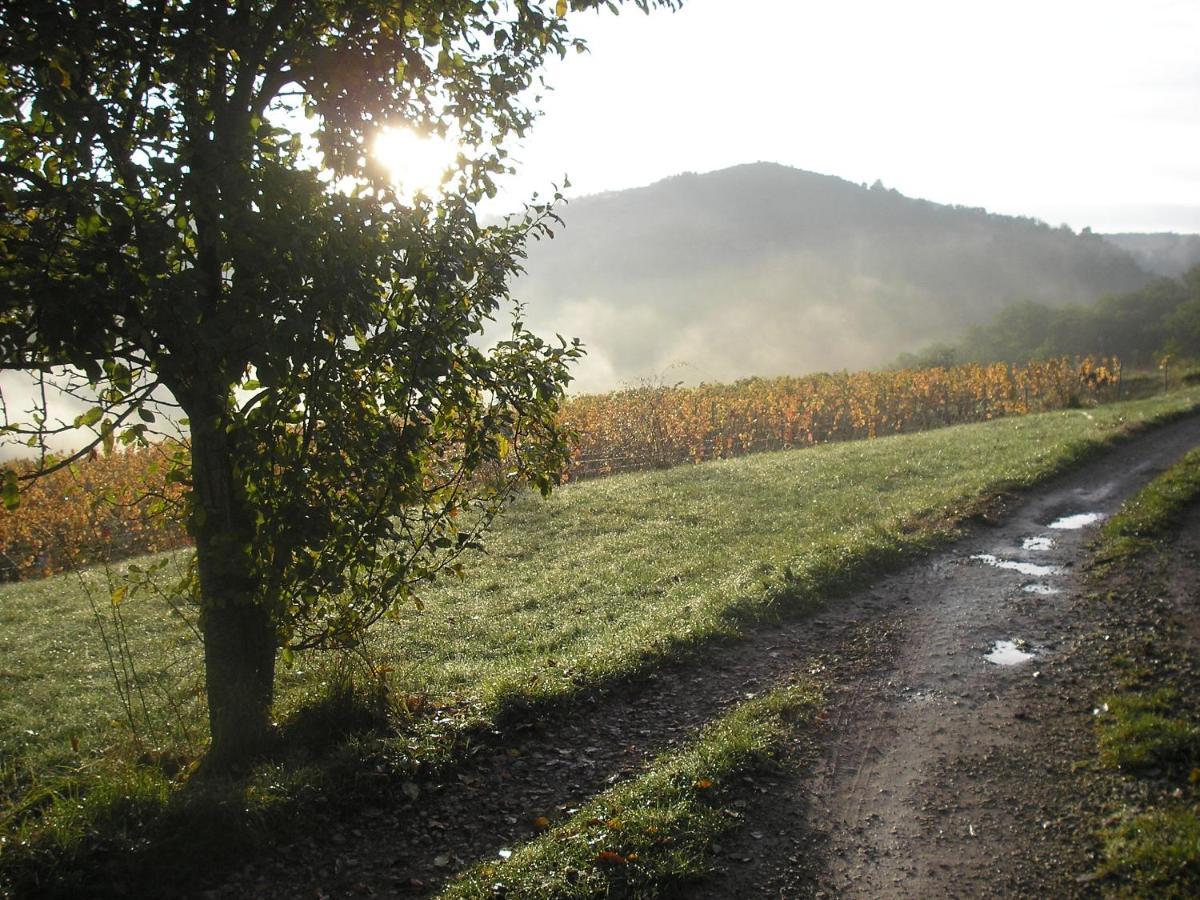 grange rénovée en pleine nature Valady Extérieur photo